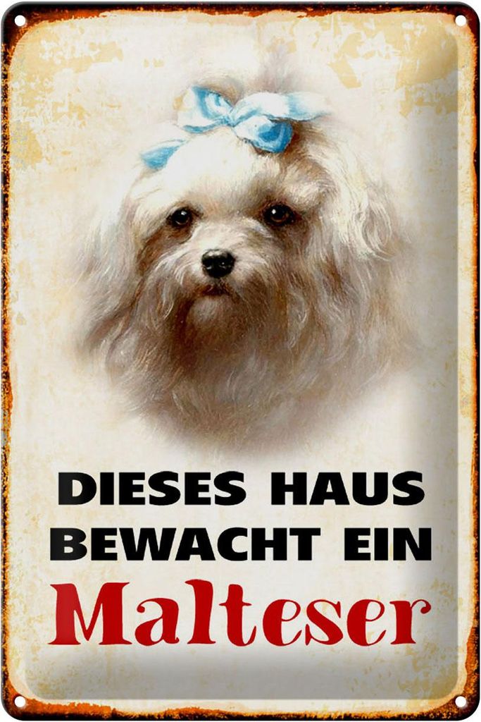 Blechschild Hund 20x30cm dieses Haus bewacht ein Malteser