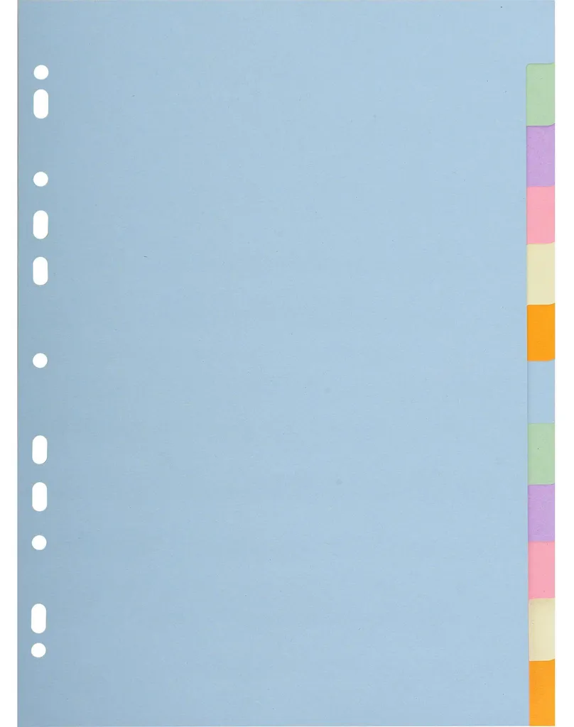 Exacompta Intercalaires 12 positions 170g Pastel A4 - Classement Facile