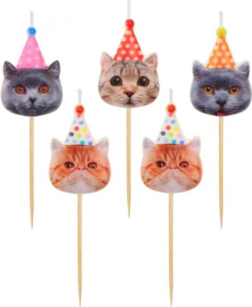 Katzen mit Hüten Pickerkerzen 5 Stk Produktbild 