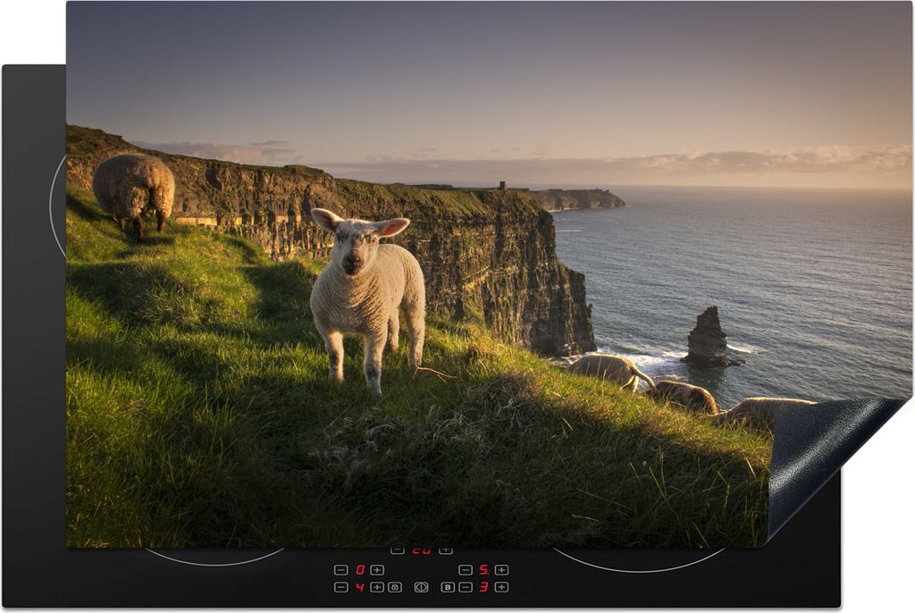 KitchenYeah Herdabdeckplatte Schafe - Natur - Irland , 81x52cm, Küche Deko, Glaskeramikfeld Herdabdeckung, Abdeckplatte fùr Kochfeld