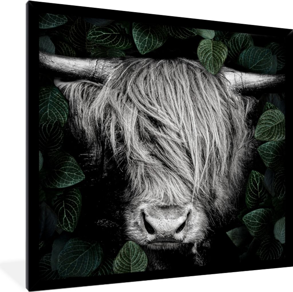 MuchoWow Gerahmtes Poster Scottish Highlander - Blätter - Schwarz - Weiß 40x40 cm - Poster mit Schwarzem Bilderrahmen Wandposter Rahmen Foto Bi...