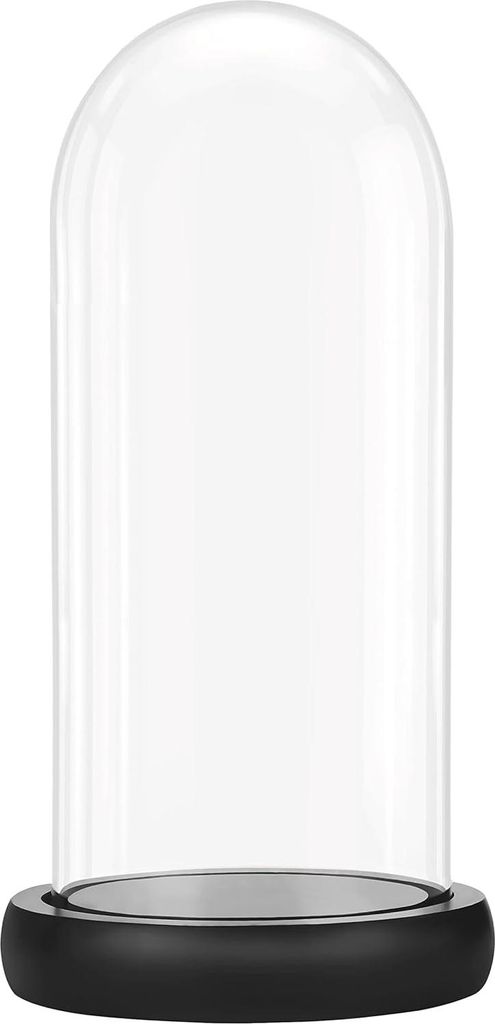 Glas-Stolp mit schwarzem Holzsockel 195 cm hoch Dekorative Tafeltop Display Bak Tray Fee Lichten Kopstukken Antike Items Käse-Stolp