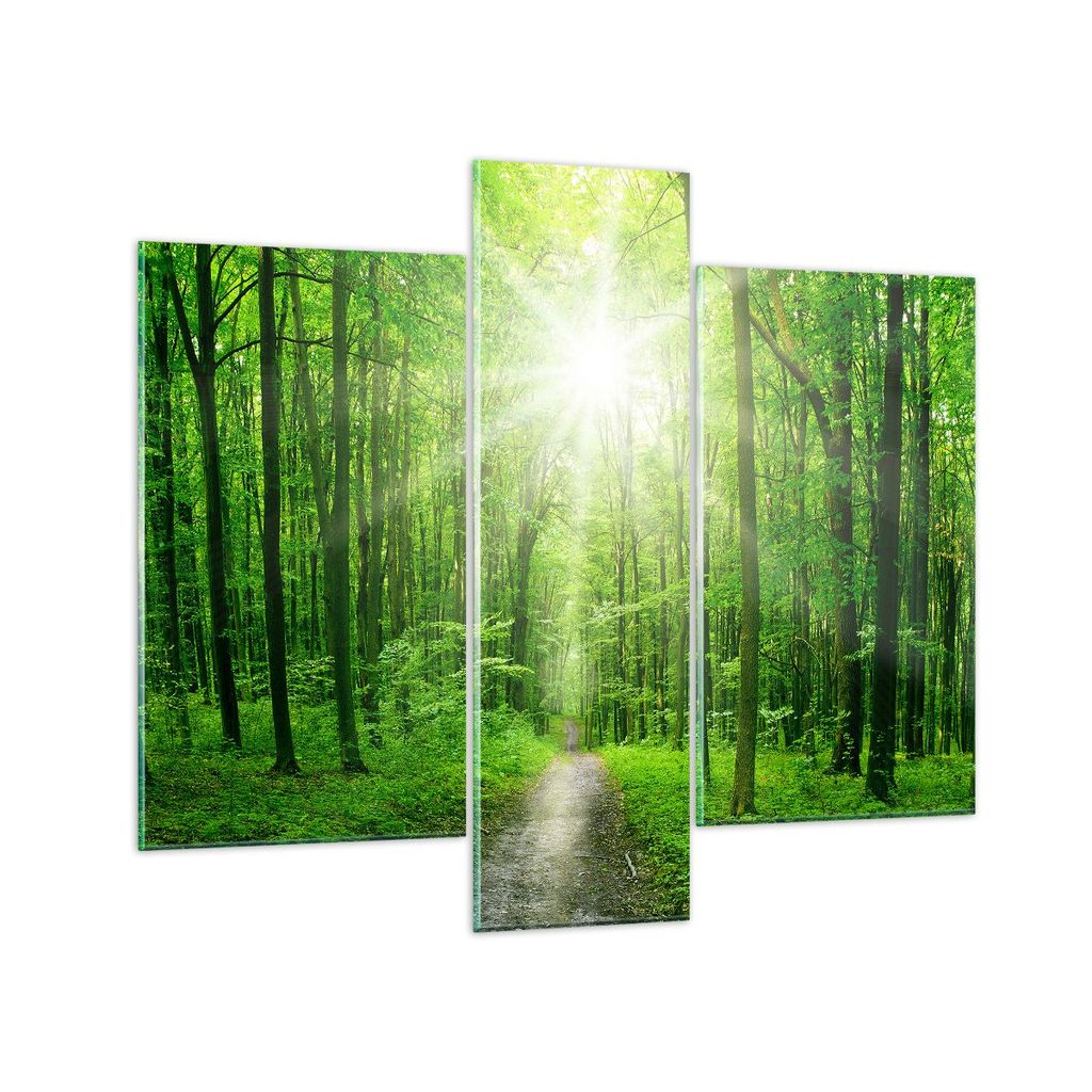 Bilder auf glas - Sonnenstrahlen Wald Sommer - 95x80cm - Glasbilder - Wandbilder - Kunstdruck - zum Aufhängen bereit - Wanddekoration aus Glas - G...