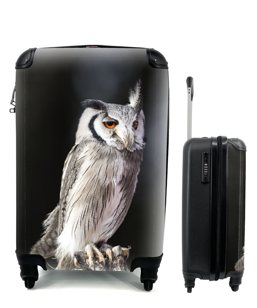 MuchoWow Koffer Handgepäck Trolley Rollkoffer Kleine Reisekoffer mit 4 Rollen - Sperlingskauz - Cabin Size < 55x40x23 cm & 55x40x20 cm - Fotokof...