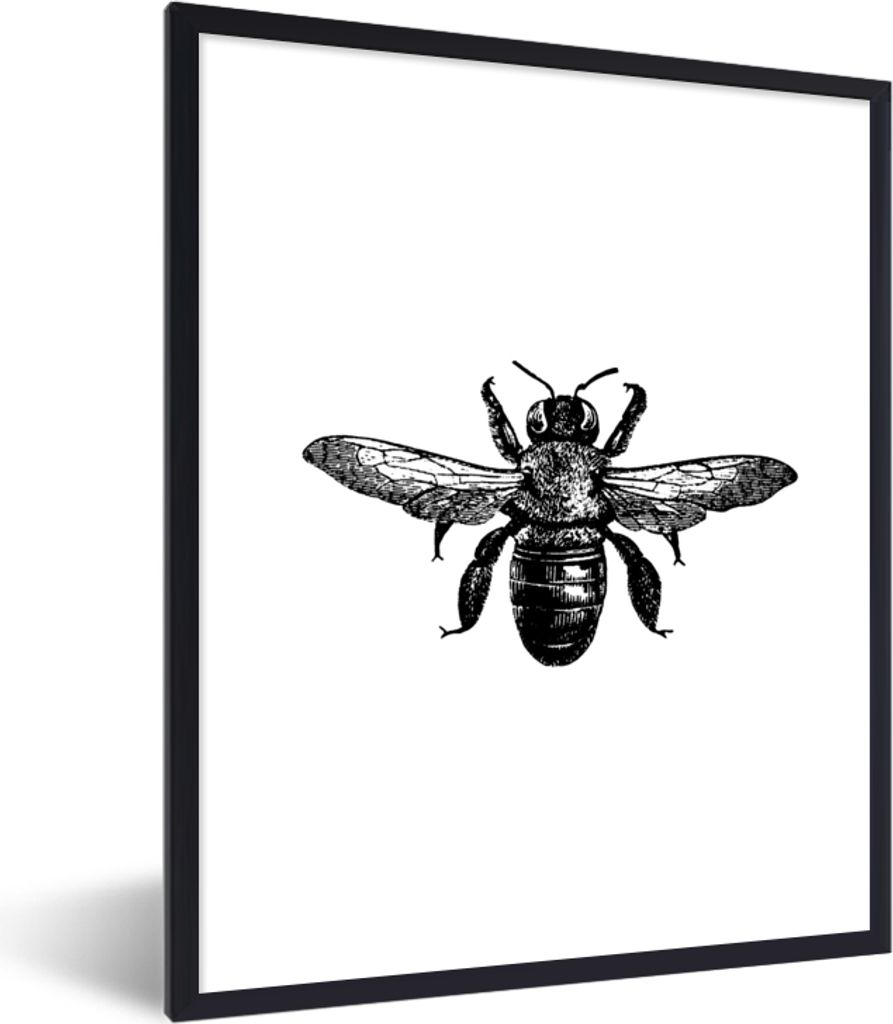 MuchoWow Gerahmtes Poster Biene - Insekt - Vintage - Schwarz und weiß 60x80 cm - Poster mit Schwarzem Bilderrahmen Wandposter Rahmen Foto Bilder...