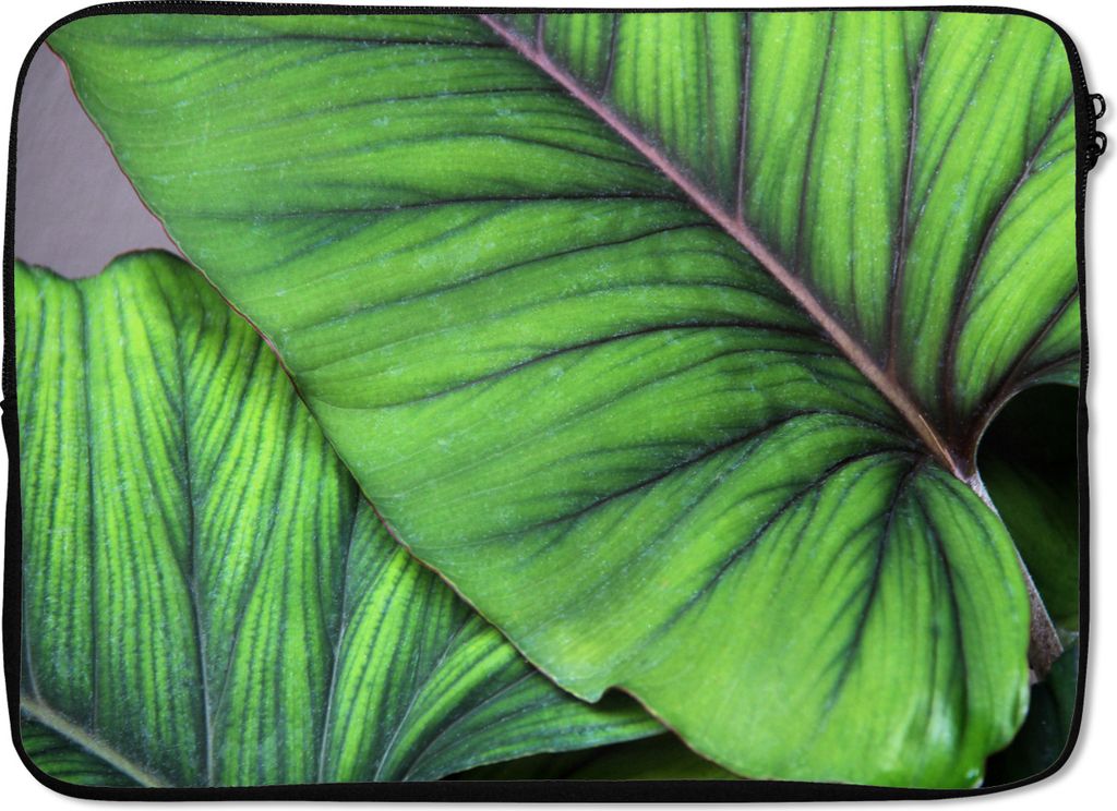 MuchoWow Laptop Hülle 13 Zoll Foto von großen tropischen botanischen Blättern Laptoptasche - Laptophülle - Sleeve - Rundumschutz