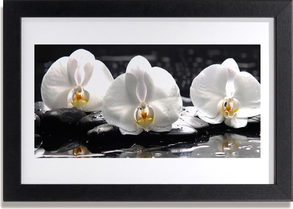 Bild 30x20 MDF-Rahmen Wandkunst Weiße Orchidee Blume