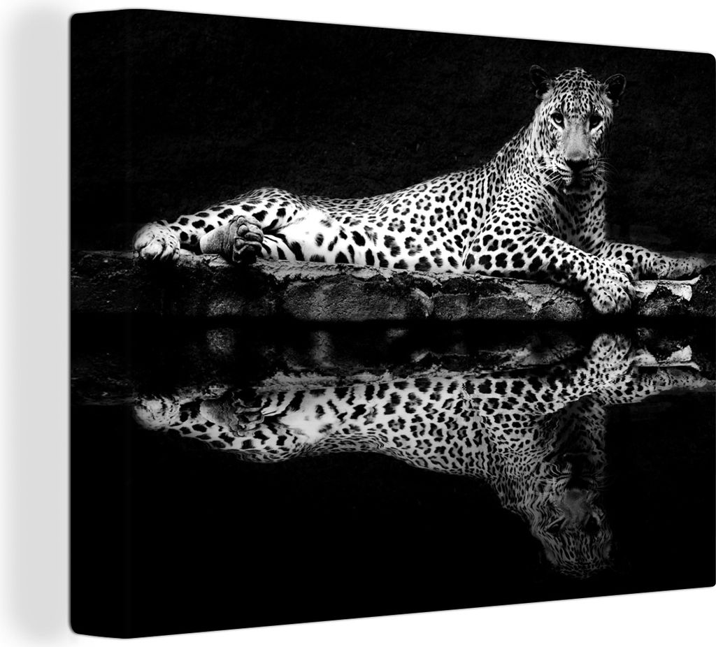 MuchoWow - Leinwandbilder - Leopard am Wasser vor dunklem Hintergrund - schwarz und weiß, Wandbild, Wanddeko Bilder Wohnzimmer, 80x60 cm