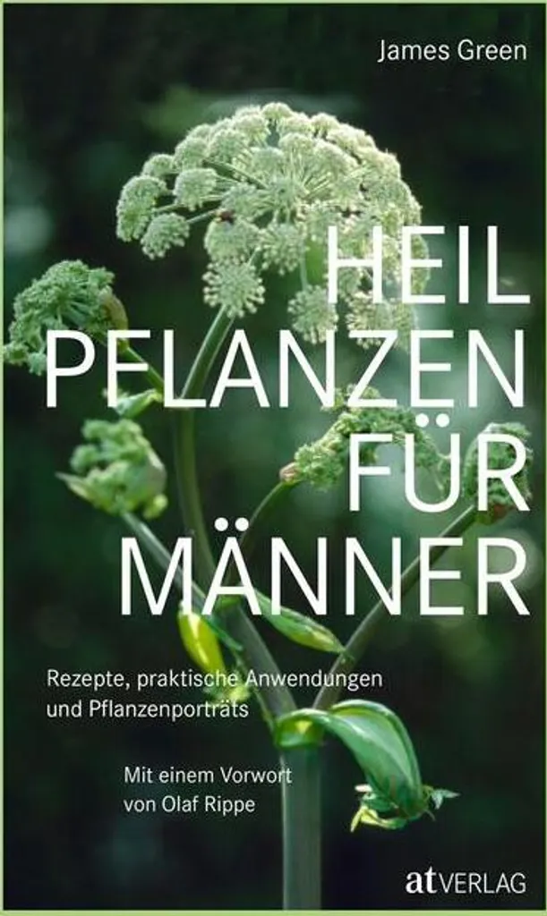 Plantes médicinales pour hommes : Guide complet de phytothérapie masculine