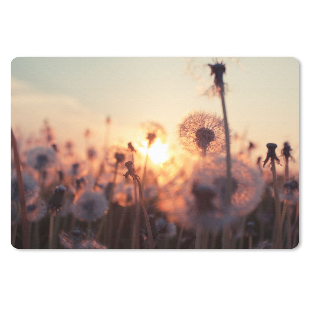 MuchoWow Mauspad Mousepad Löwenzahn - Sonnenuntergang - Frühling 27x18 cm - Mousepads - Maus Mat - Pad - Mausunterlage - Büroartikel - Desk Ma...