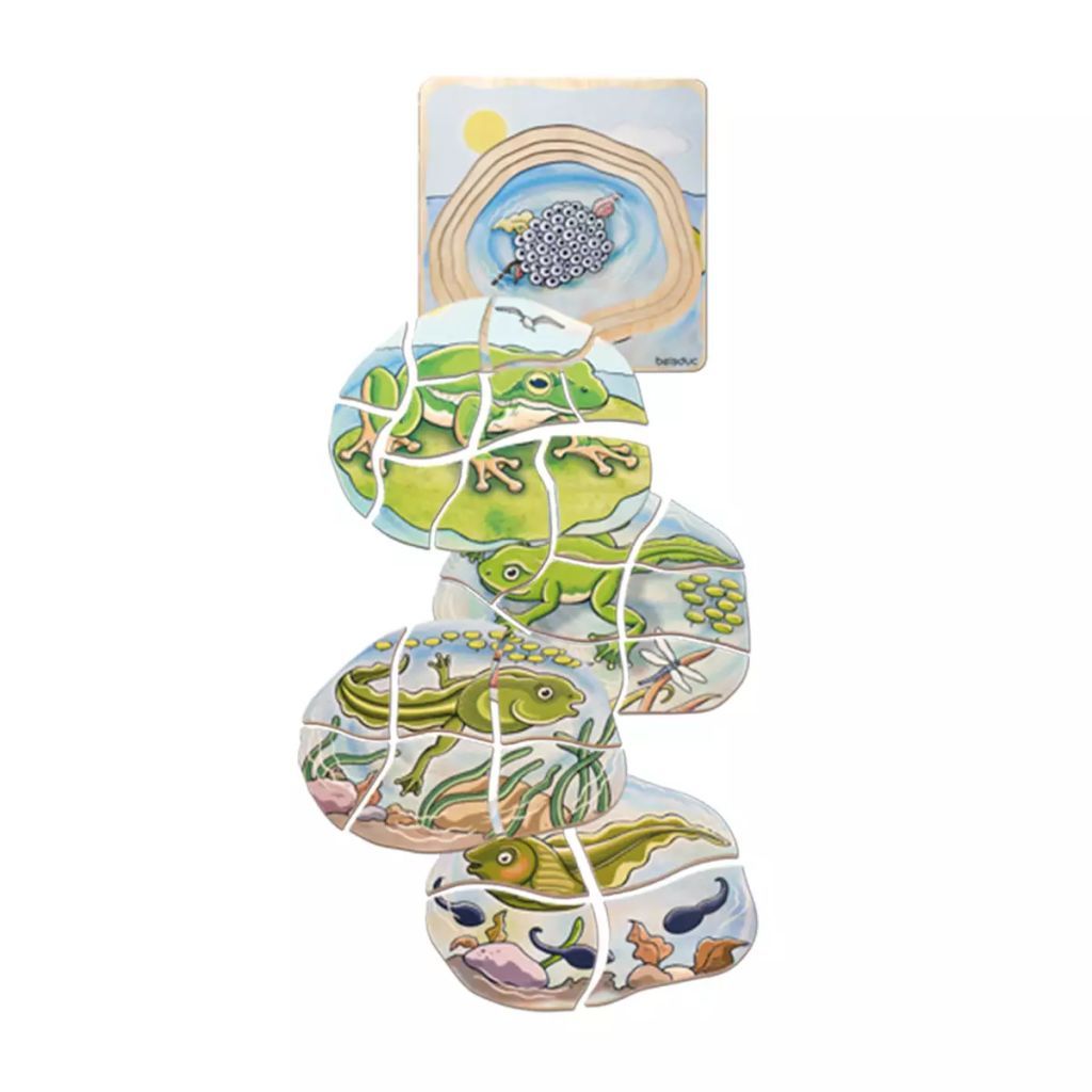 Beleduc Lagenpuzzle Frosch 17053