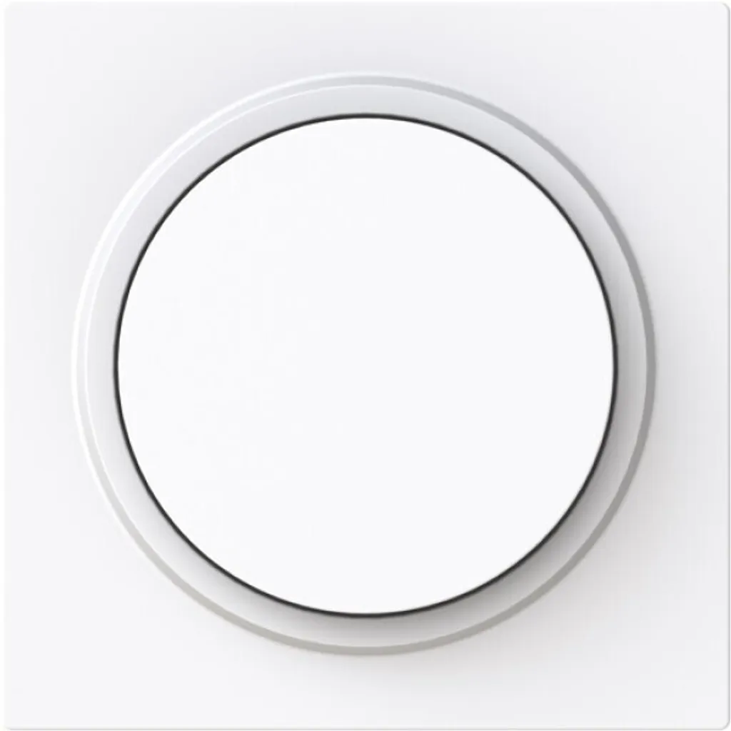 Disque pour Variateur Rotatif Busch-Jaeger Idéal Rénovation Intérieure