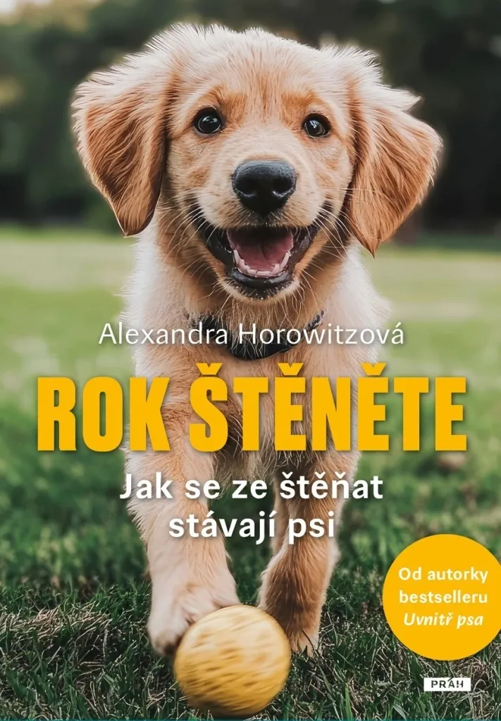 Comment élever son chiot avec Rok štěněte d'Alexandra Horowitz : conseils