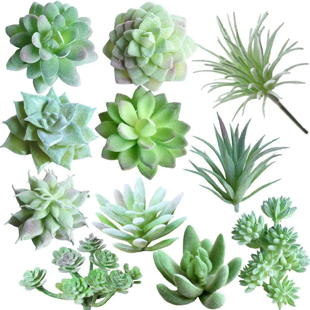 Plantes succulentes artificielles : oubliez l'arrosage et le soin