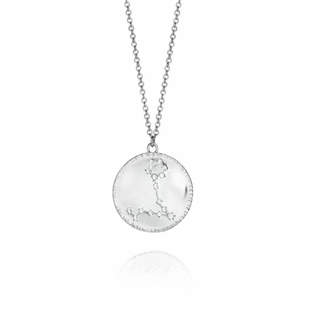 Collier Argent Signe Poissons Horoscopo 61014C000-38P - Bijou Zodiaque