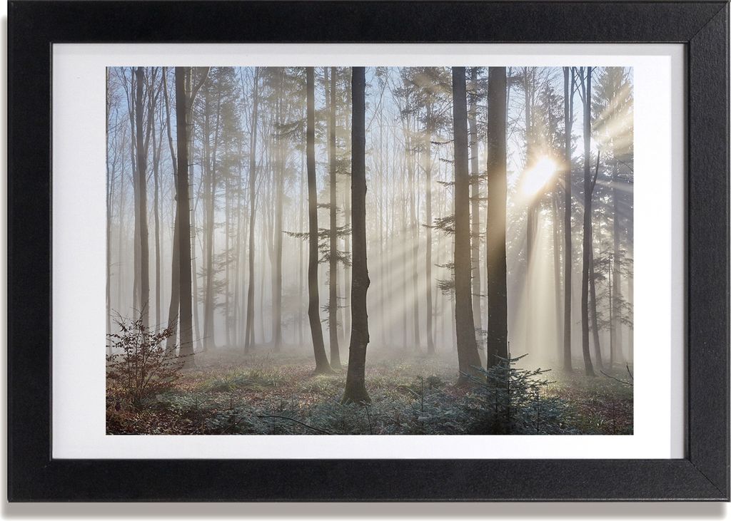 Bild 30x20 MDF-Rahmen, Wandkunst Nebel im Wald