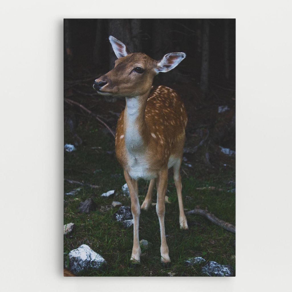ARTHUB Leinwandbild 30x40 cm, Forest Cute Deer | Wohnzimmerdekoration, Hängende Bilder, Wanddekoration, Heimdekoration, Landschaften, Wälder