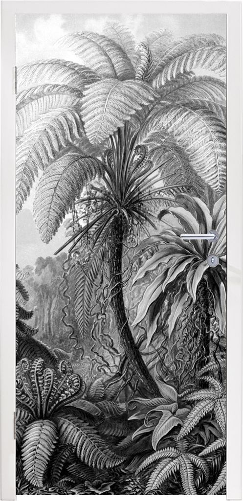MuchoWow Türtapete Selbstklebende Türfolie Pflanzen - Schwarz und weiß - Design - Illustration - Botanisch 80x215 cm Türposter Türaufkleber ...