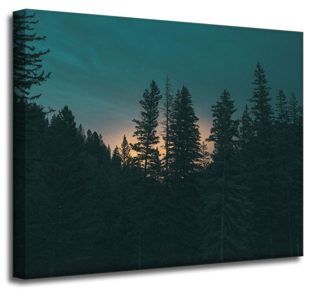 Leinwanddruck Natur Wald in der Abenddämmerung 50x40 cm Dunkelheit