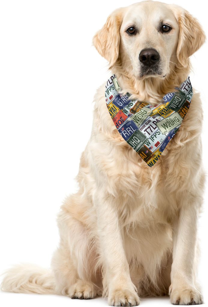 ABAKUHAUS Retro Haustier Bandana, Vintage Reise-Platte, 40x40 cm, Grün, Blau, Gelb