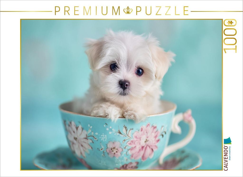 CALVENDO Puzzle Teacup Maltese, der kleine mit großer Wirkung | 1000 Teile Lege-Größe 64x48cm Foto-Puzzle für glückliche Stunden