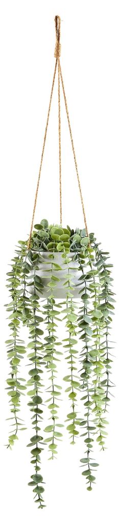 aplanta Künstliche Hänge-Eukalyptus – Philemon | 95 cm, für drinnen, Kunstpflanze, wie echt, Allergiker geeignet, pflanzliche Dekoration Praxi...