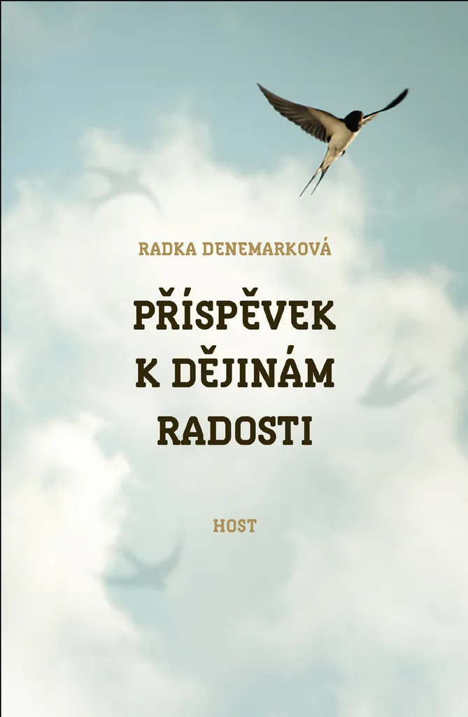 Livre Roman Příspěvek k dějinám radosti de Radka Denemarková Broché