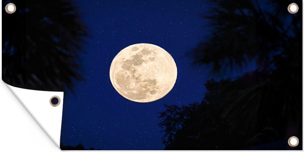 MuchoWow 160x80 cm Outdoor-Poster Gartendeko Sichtschutz Garten Poster für den Garten Mond - Bäume - Nacht