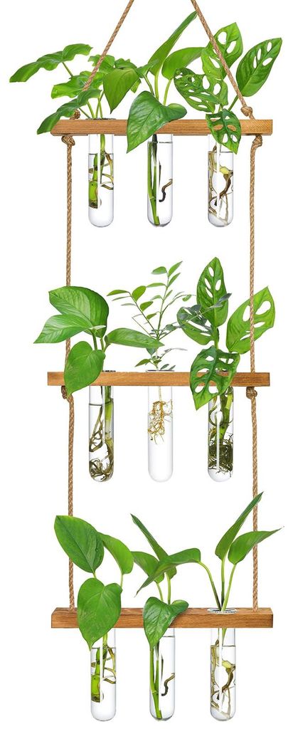 Reagenzgläser für Blumen, kleines Vasenset mit Ständer für Pflanzen, 3x3 Meter große Anzuchtstation, Anzuchtglas für Hydrokulturpflanzen, Ste...