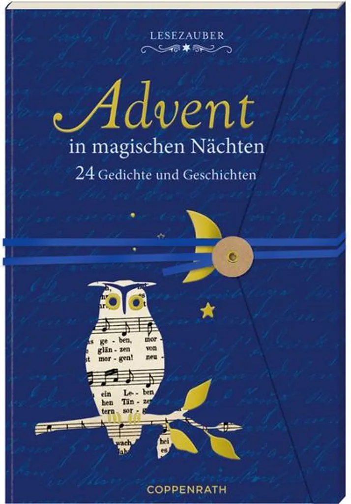Livre de l'Avent à Lire Chaque Soir Lesezauber Rituel de Noël