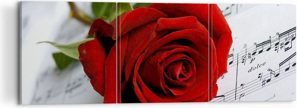 Bild auf Leinwand - Leinwandbild - Musik Rose Dekoration romantisch - 120x40cm - Wand Bild - Wanddeko - Leinwanddruck - Bilder - Kunstdruck - Leinw...