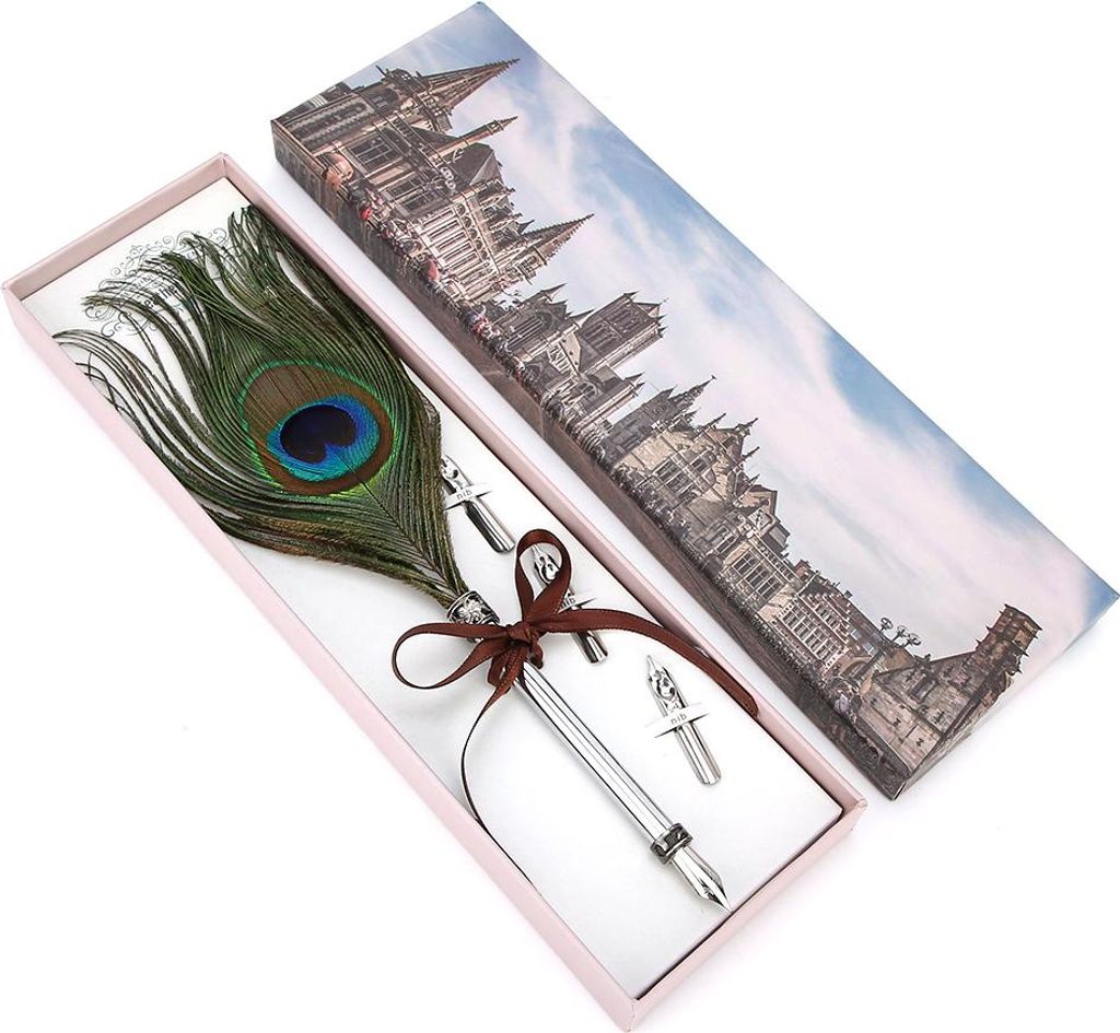Vintage Style Calligraphic Feather Pen Kit Business Geschenk Student Pen Geschenkbox TischNachbildungationTyp 1
