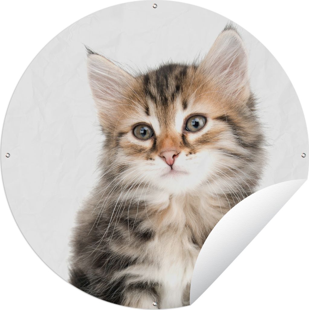 MuchoWow Gartenposter Outdoor-Poster Rund Kätzchen - Weiß - Nase - Mädchen - Kinder - Jungen - Kinder Ø 150 cm Gartendeko Rundes Poster draußen