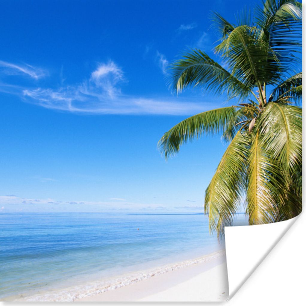 MuchoWow Poster Tropisch - Sand - Palme 75x75 cm - Wand Dekoration