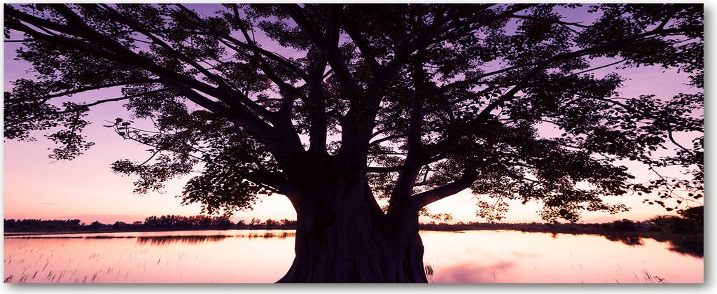 Tulup Küchenrückwand Spritzschutz aus Glas -125x50 -Spritzschutz auf gehärtetes Glas Deko Blumen & Pflanzen Baum und See