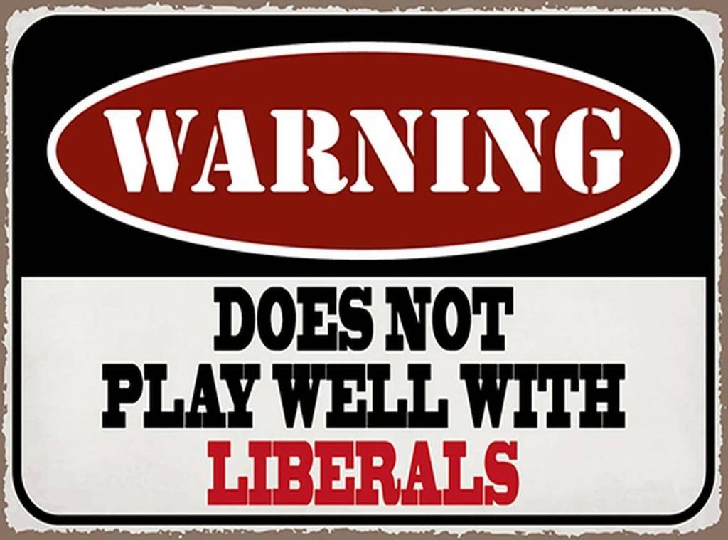 vianmo Holzschild 30x40 cm Warning does not play with liberals
