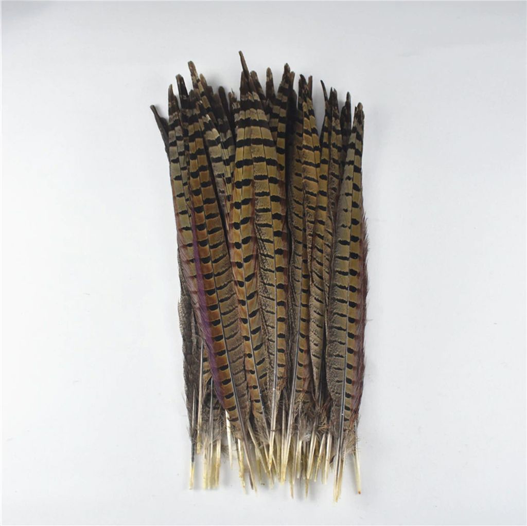 Bažantí ocasní pero 25-30 cm / 1ks Obrázek produktu 