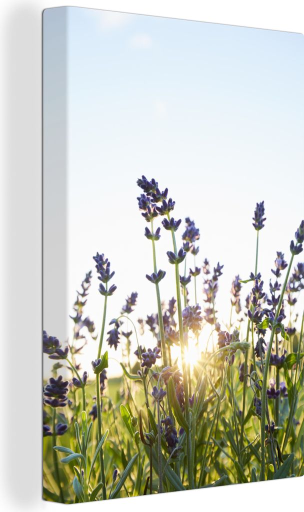 OneMillionCanvasses - Leinwandbilder - 90x140 cm, Nahaufnahme von Lavendel bei Sonnenuntergang, Wandbilder Kunstdruck Wanddekoration - Wandschmuc...