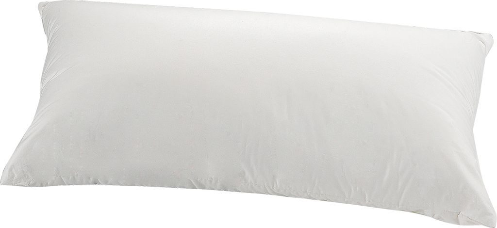 Traumina Kissen Kissen Plume Bio Daune I Größe 80x80 cm