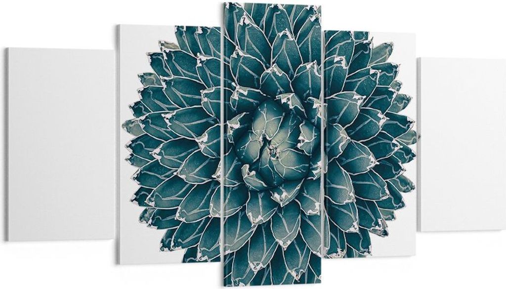 Bild auf Leinwand - Leinwandbild - 5 Teile - Agave Königin Victoria - 160x85cm - Wand Bild - Wanddeko - Wandbilder - Leinwanddruck - Bilder - Wand...