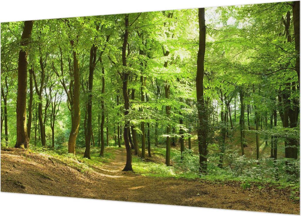 Wandtapete - Dekorative Tapete für Wohnzimmer - Tapetenfolie für Wanddekoration - 416x254 - Natürlicher Weg