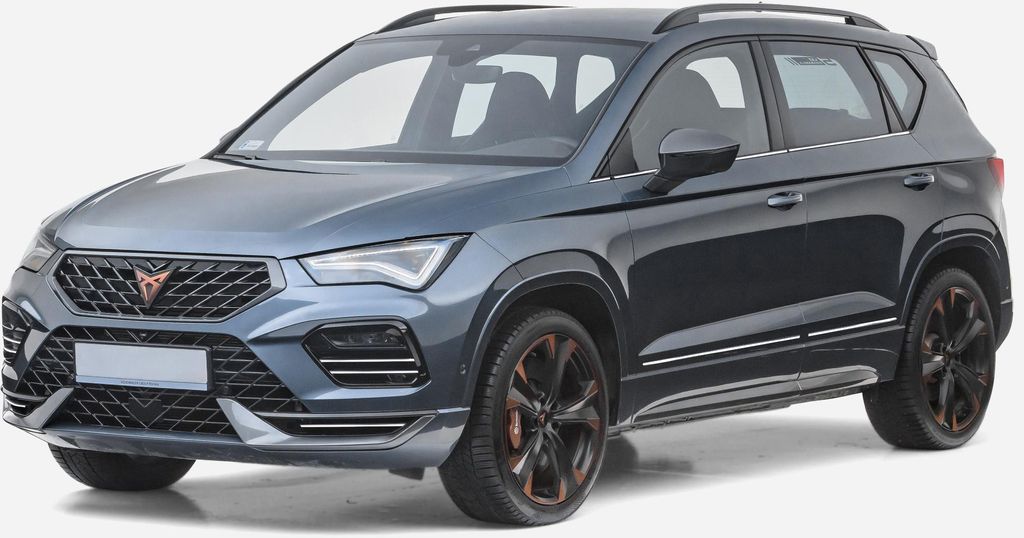 Seat Ateca - Chrom-Seitentürverkleidungen