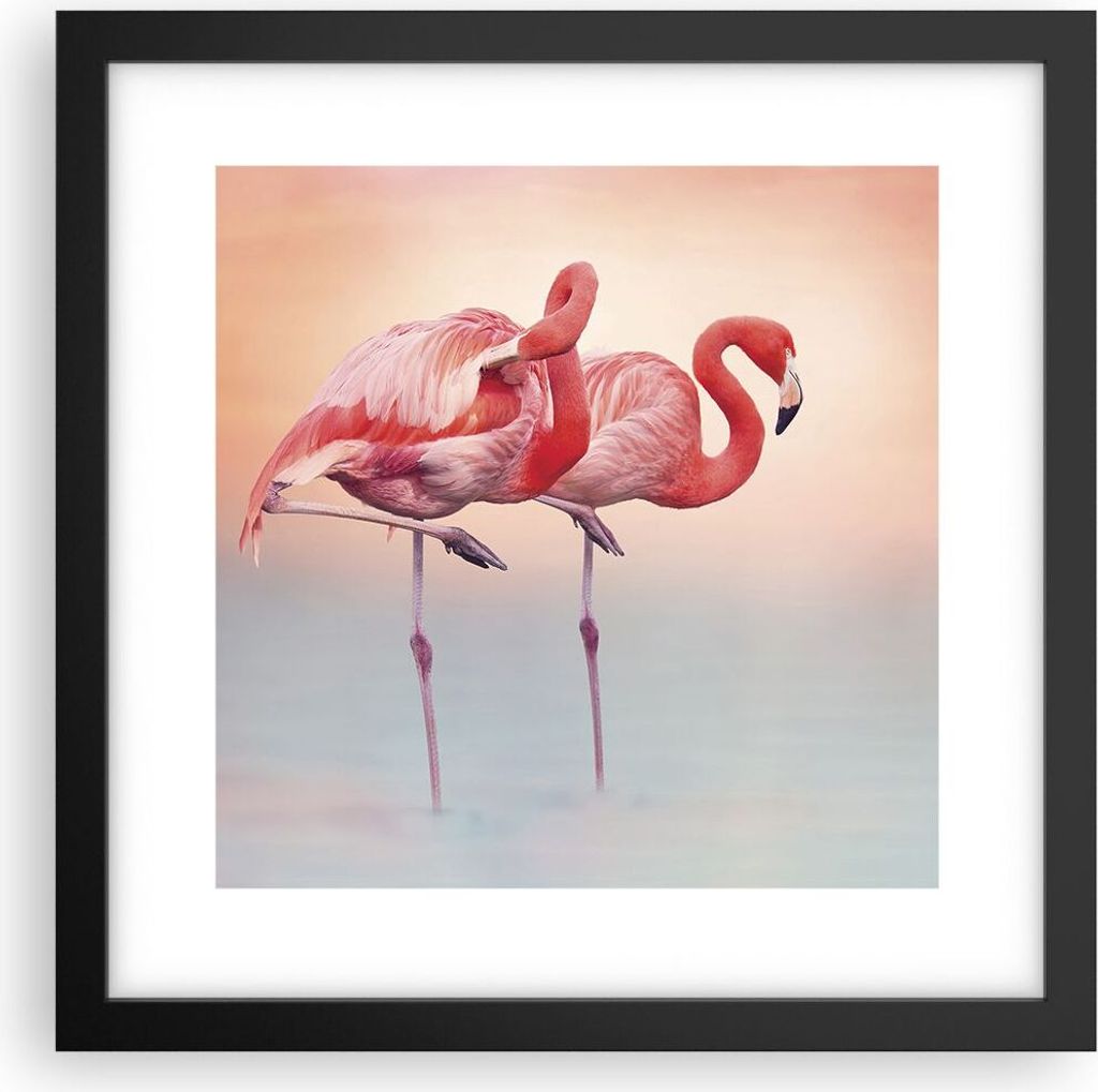 Gerahmtes Poster - Schwarzer Rahmen - Flamingos Exotik Vögel - 30x30 cm - Wand Bild - Wanddeko - Wandbilder - Kunstposter - Wandposter - Bilderrah...