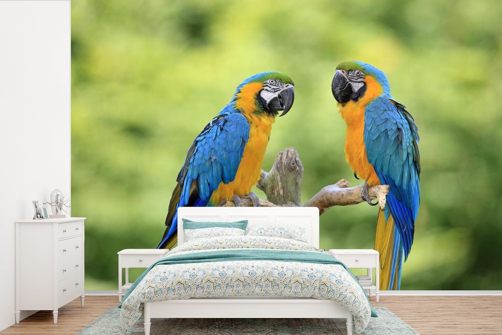 MuchoWow Fototapete für Wohnzimmer oder Schlafzimmer Wandtapete Vinyl Motivtapete Blauglöckchen sitzen sich auf einem Zweig gegenüber - 330x22...