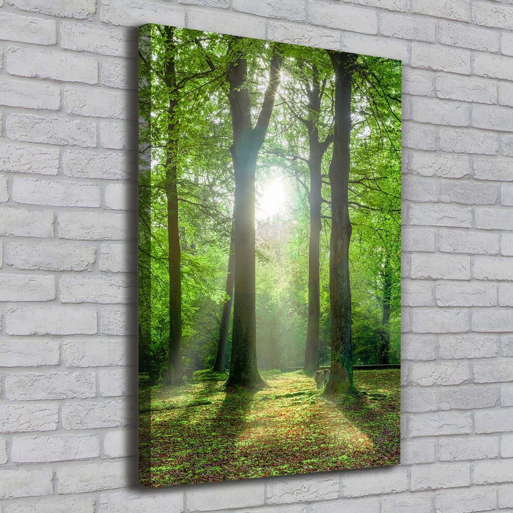 Tulup Leinwandbild - 70x100cm - Wandkunst - Drucke auf Leinwand - Leinwanddruck - Wohnzimmer Wanddekoration XXL - Wohnung Deko Kunstdrucke - Land...