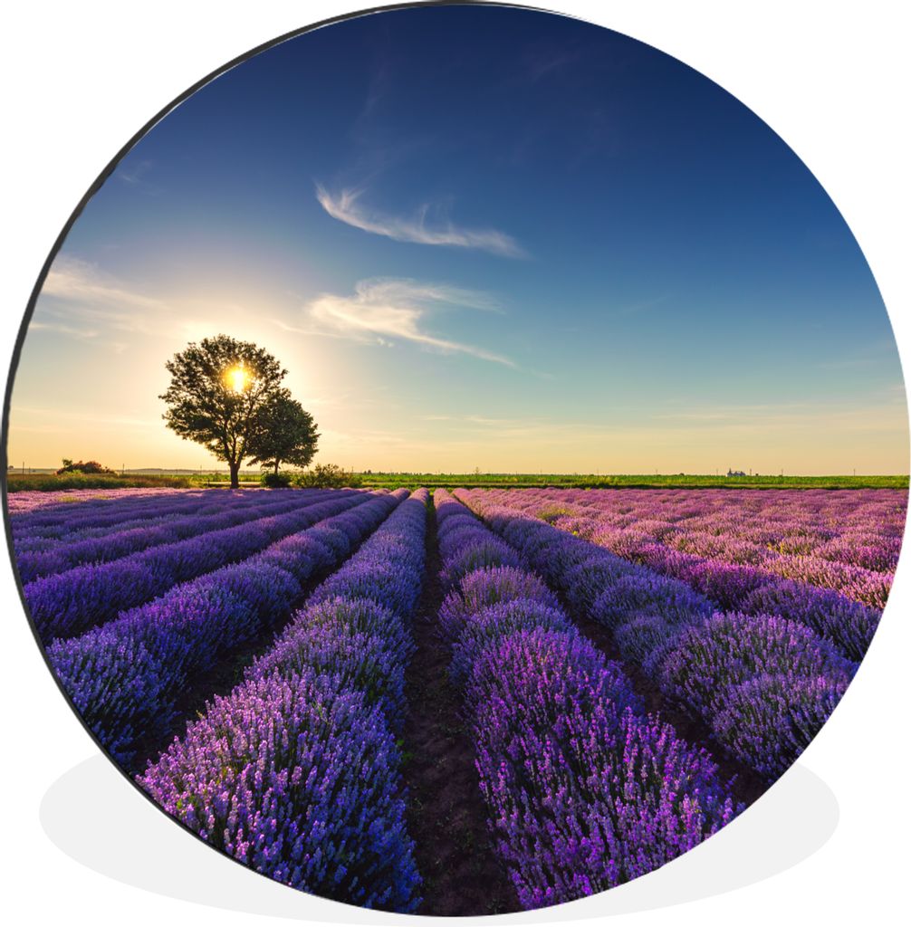 MuchoWow Aluminium Wandkreis Lavendel - Sonne - Baum - Blumen - Lila Ø 30 cm Wanddeko Modern Wohnzimmer - Wand Bild - Wohnzimmer - Runde Bilder ...