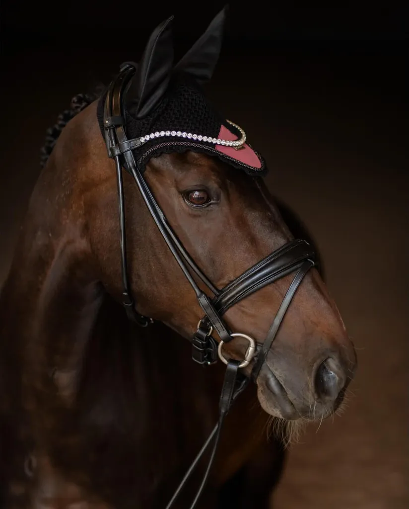 Protéger son cheval des insectes avec le couvre-tête intégral Rouge - 6
