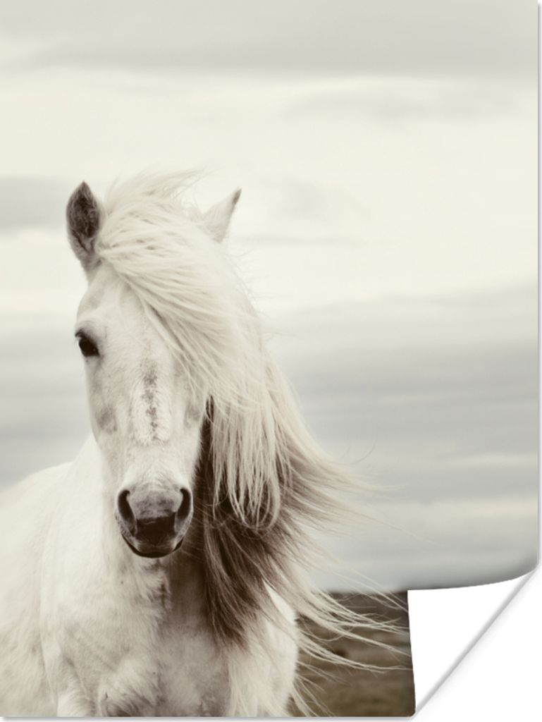 MuchoWow Poster Pferd - Strand - Mähne 60x80 cm - Schlafzimmer Dekoration