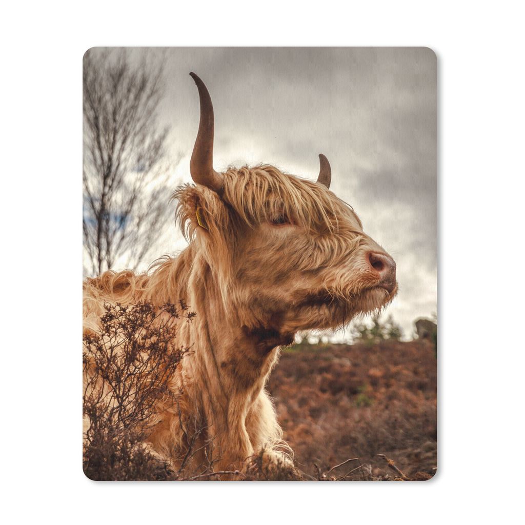 MuchoWow Mauspad Mousepad Scottish Highlander - Strauch - Heidekraut 30x40 cm - Mousepads - Maus Mat - Pad - Mausunterlage - Mausmatten