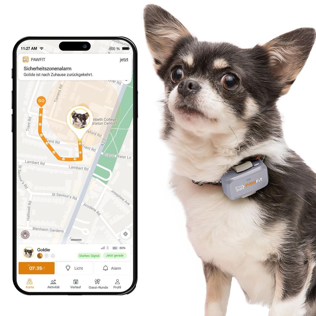Pawfit Lite GPS-Tracker mit 4G für kleine Hunde | Tracking in Echtzeit | Aktivitätsüberwachung |Standortverlauf | Unbegrenzte Reichweite | Flied...